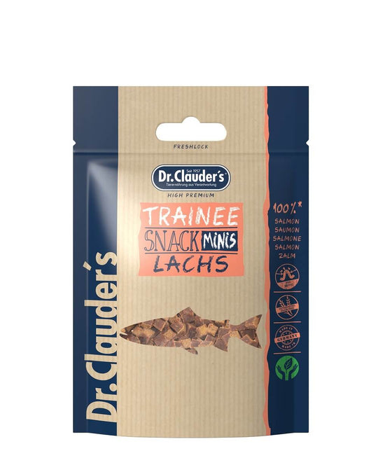 Mini-snacks pour stagiaires du Dr Clauder au saumon