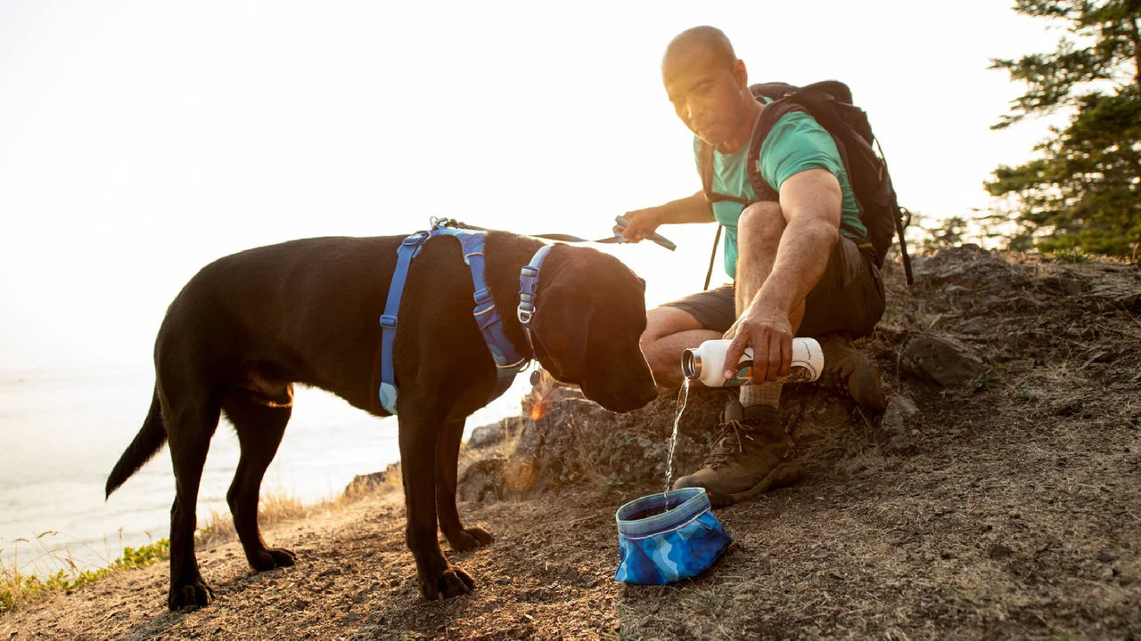 Ruffwear Quencher™ Packable Dog Bowl