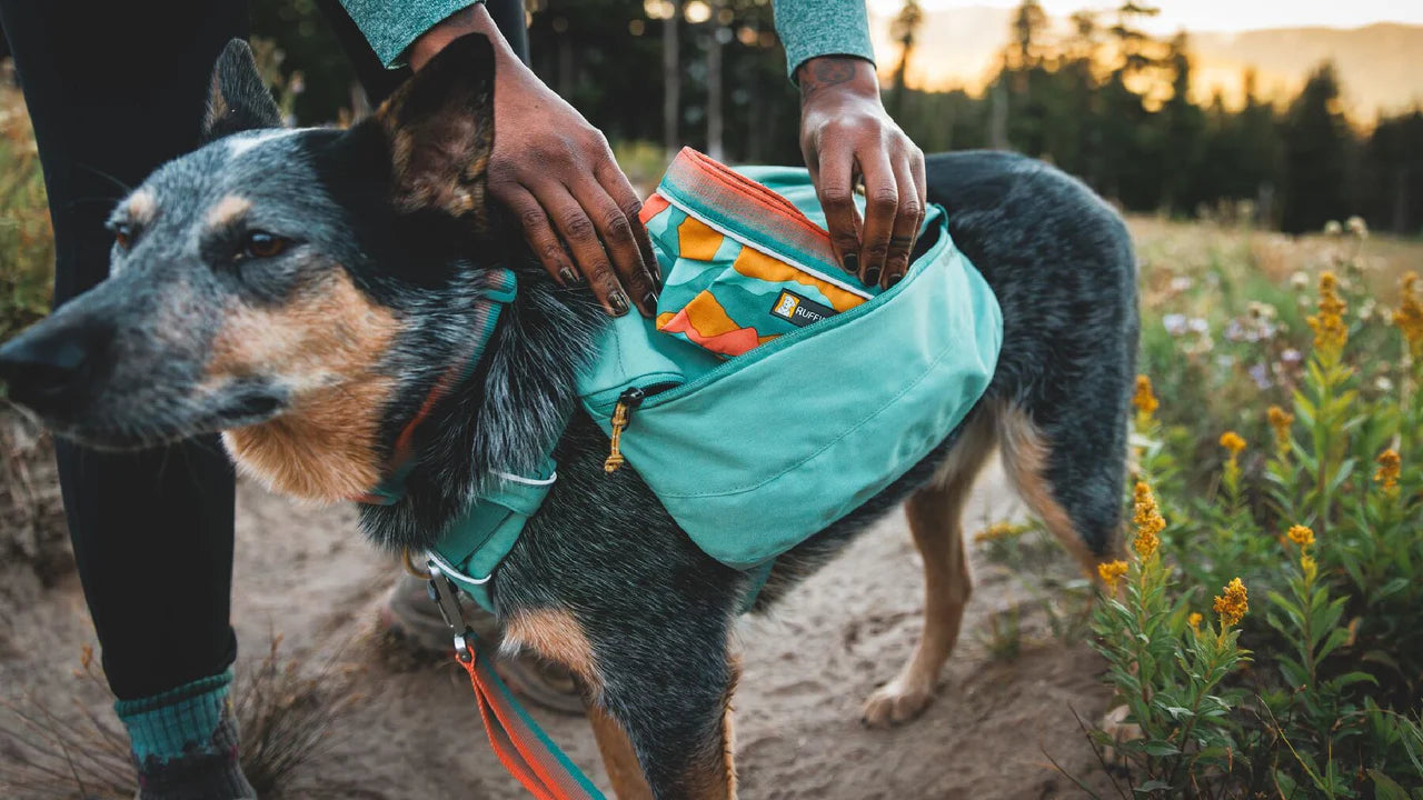 Ruffwear Quencher™ Packable Dog Bowl