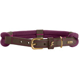 Hunter Malia Dog Collar