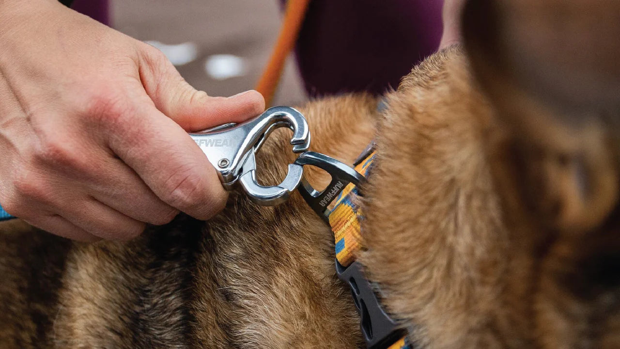 Ruffwear Roamer™ Bungee Dog Leash