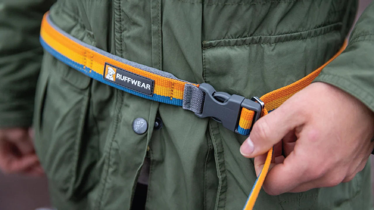 Ruffwear Roamer™ Bungee Dog Leash
