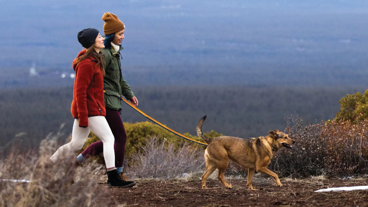 Ruffwear Roamer™ Bungee Dog Leash