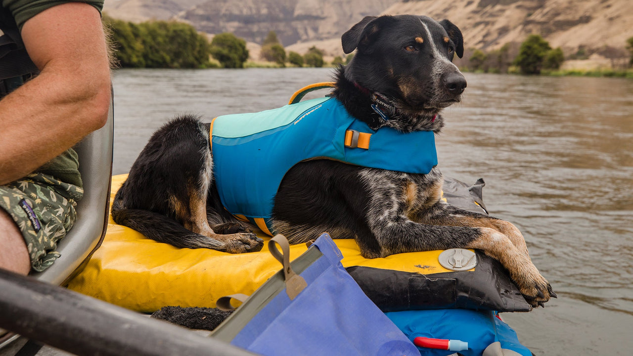 Gilet de sauvetage pour chien Ruffwear Float Coat™