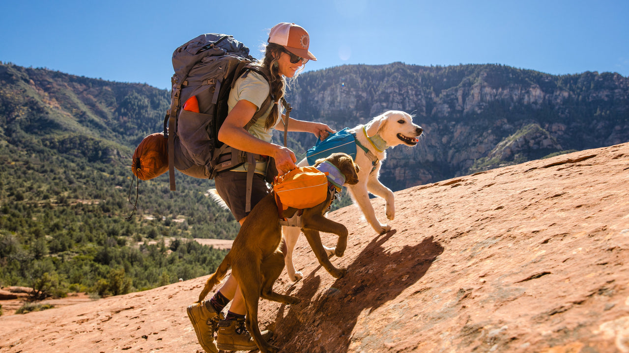 Sac à dos pour chien Ruffwear Approach™