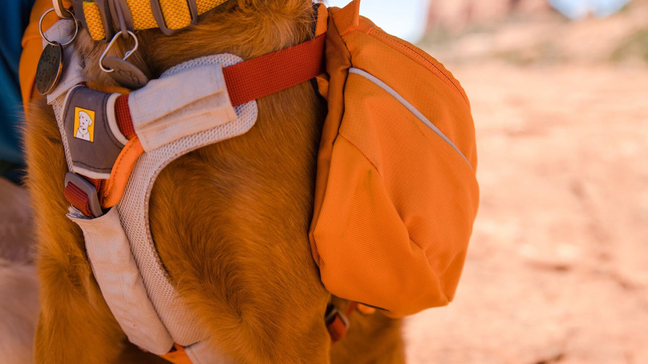Sac à dos pour chien Ruffwear Approach™
