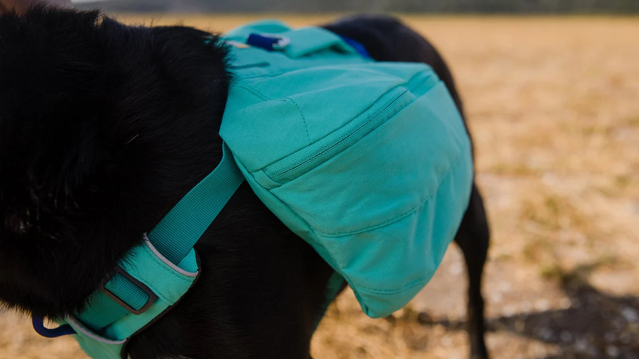 Sac à dos Ruffwear Front Range™