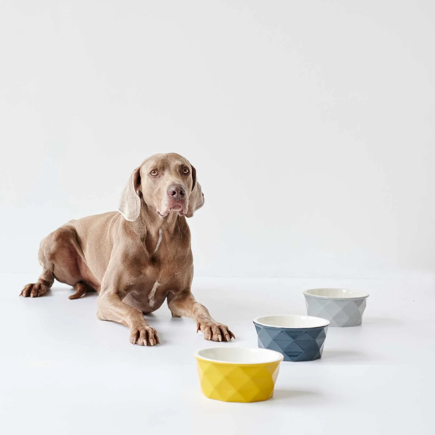 Hunter Eiby Ceramic Bowl