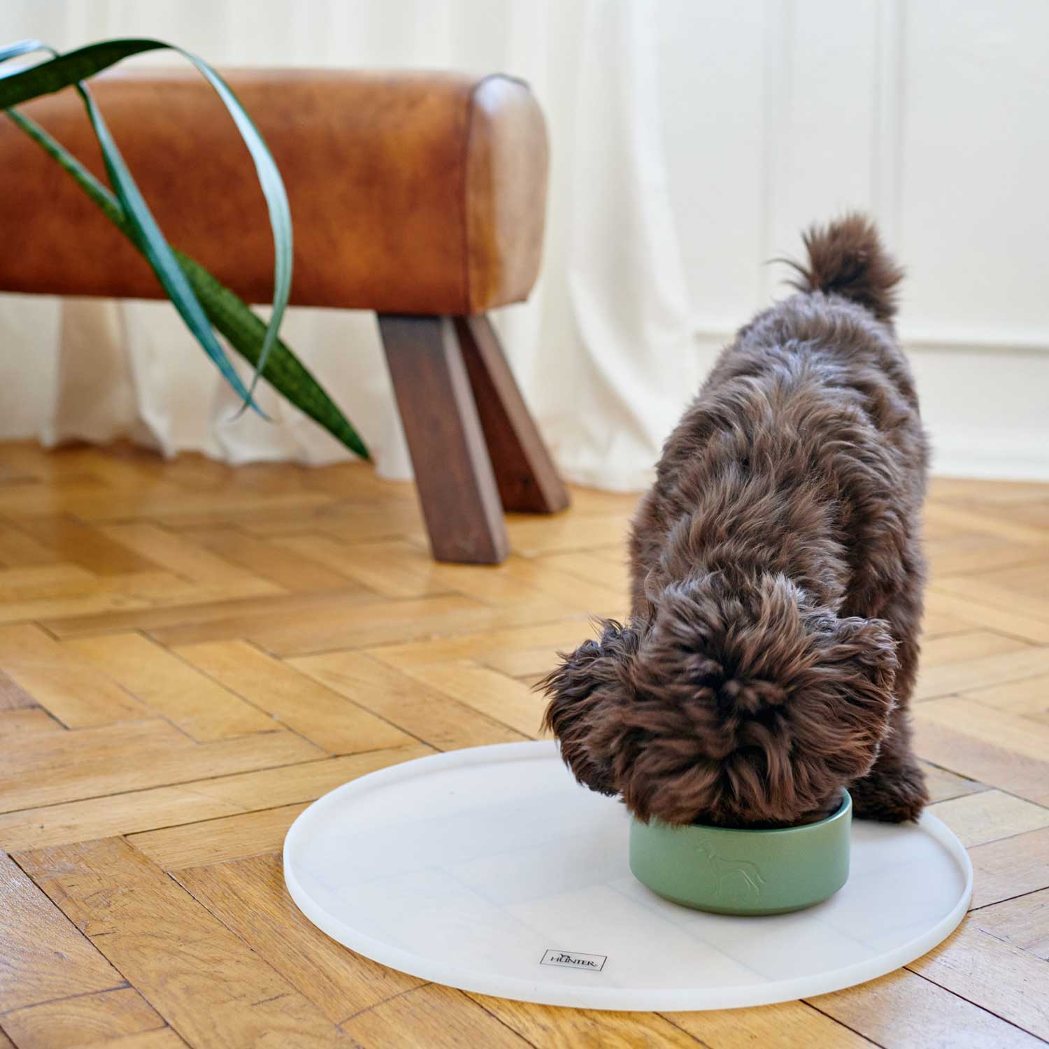 Hunter Osby Ceramic Pet Bowl