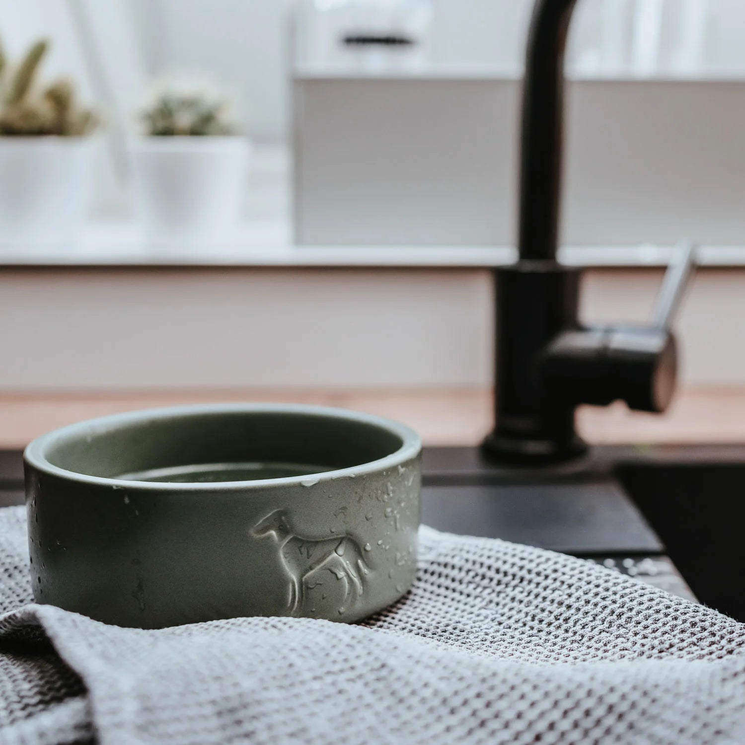 Hunter Osby Ceramic Pet Bowl