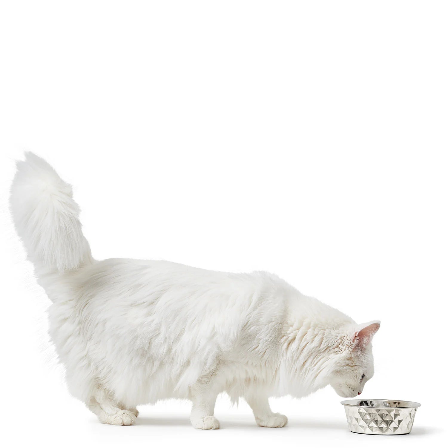 Hunter Namy Stainless Steel Pet Bowl