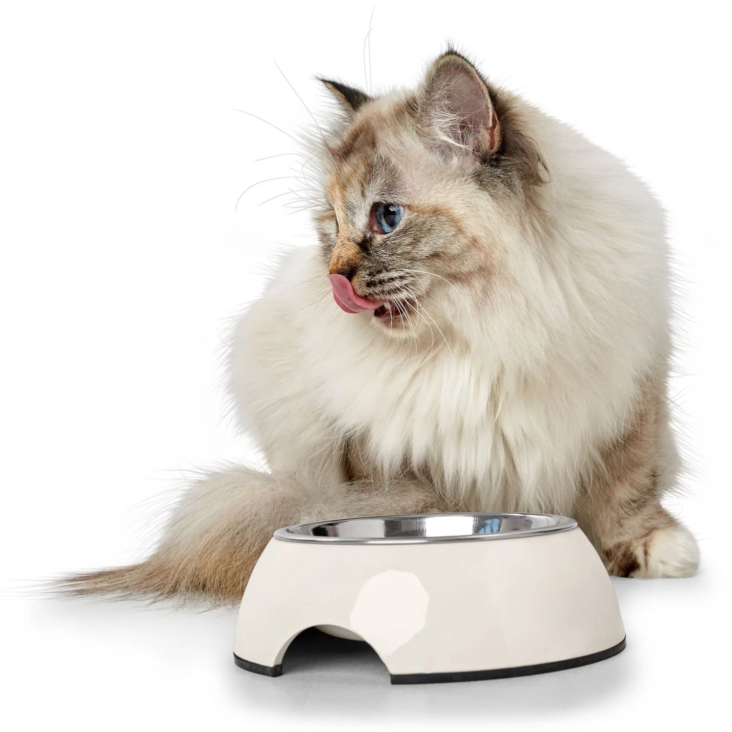 Hunter Melamine Pet Bowl