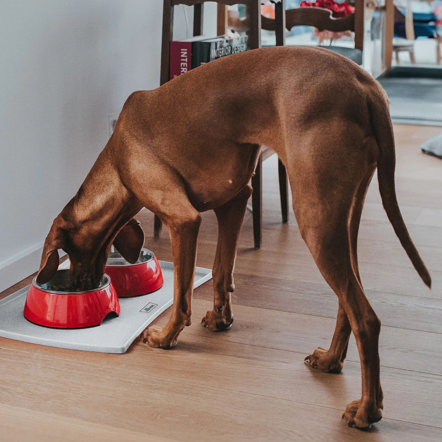Hunter Melamine Pet Bowl