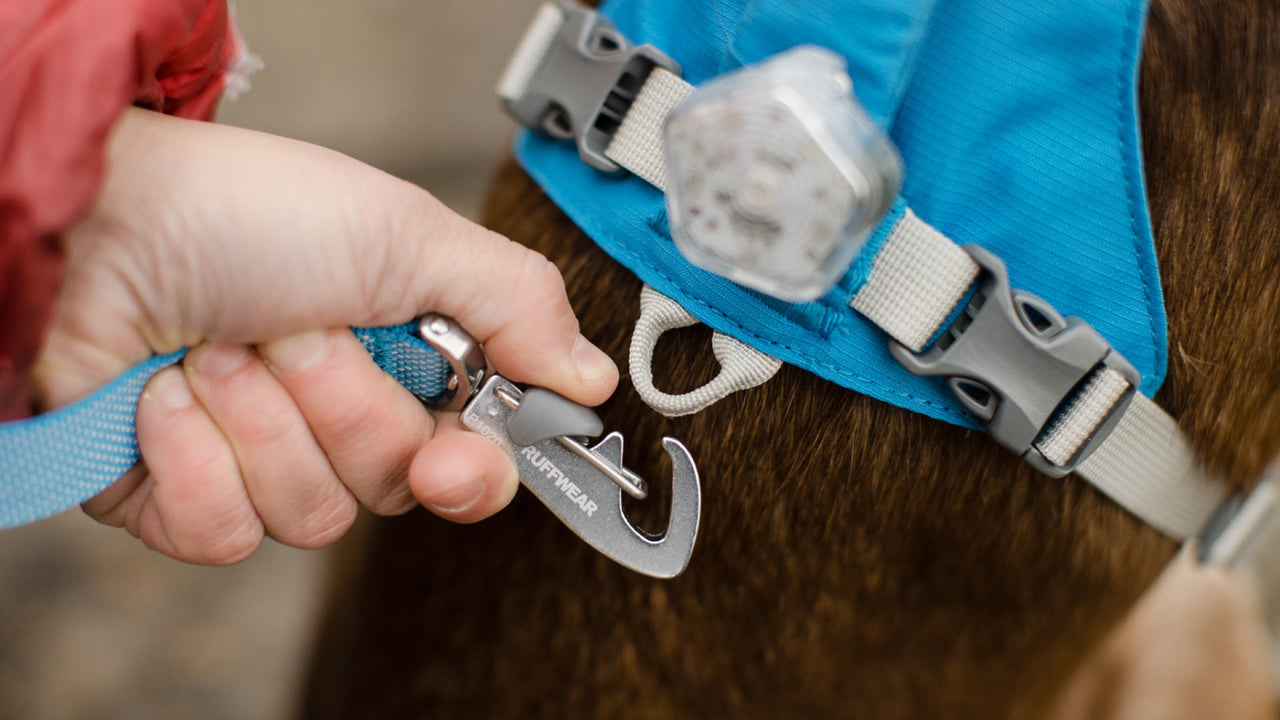 Ruffwear Flagline™ Leash