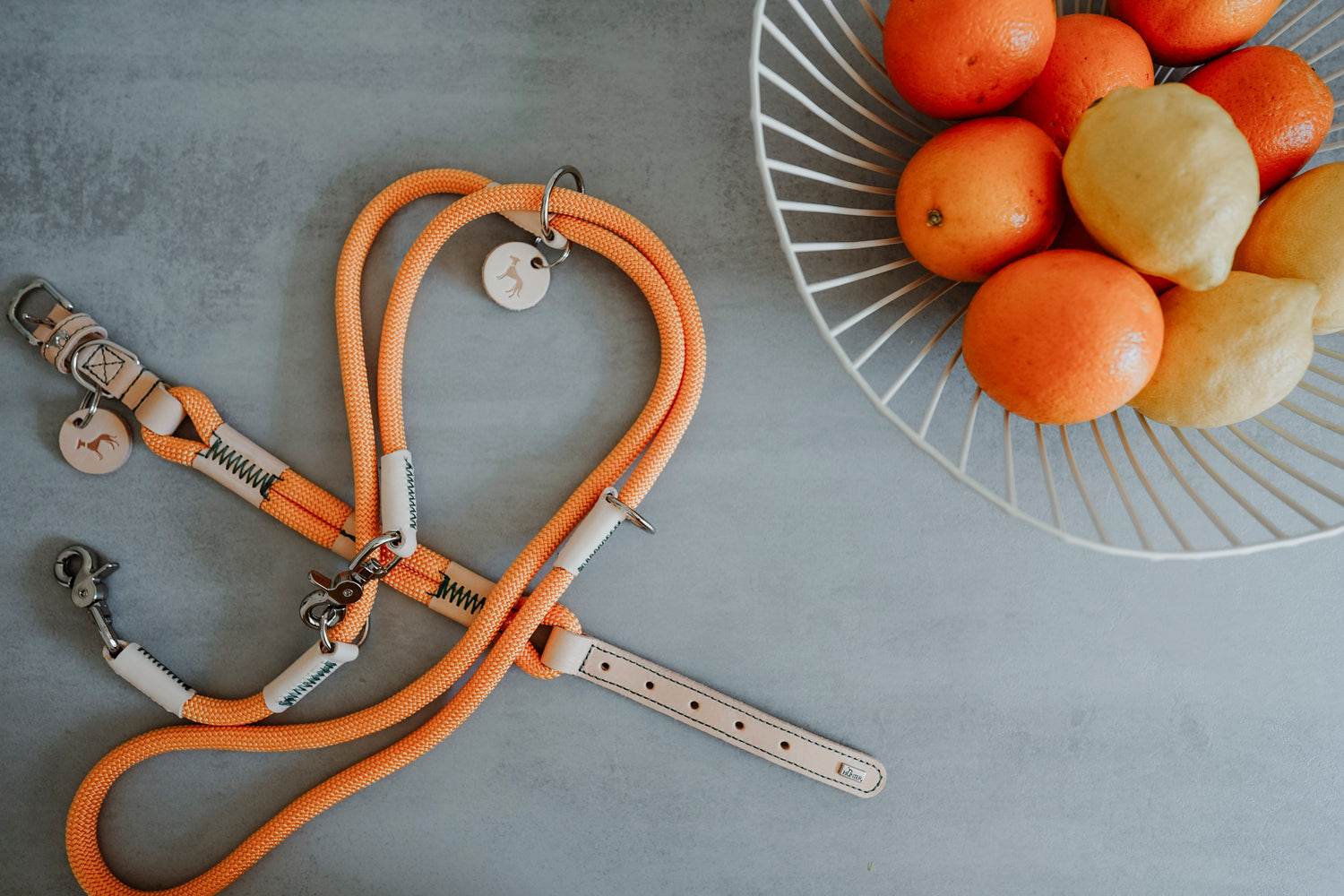 Hunter Malia Leash
