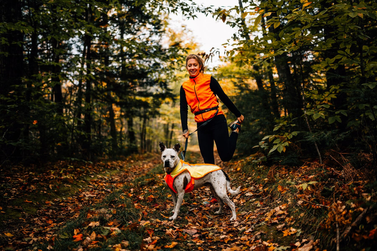 Veste haute visibilité pour chien Ruffwear Lumenglow™