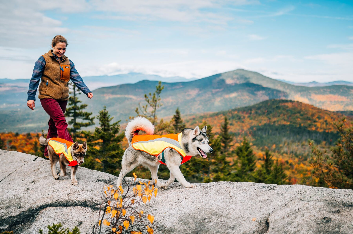 Veste haute visibilité pour chien Ruffwear Lumenglow™