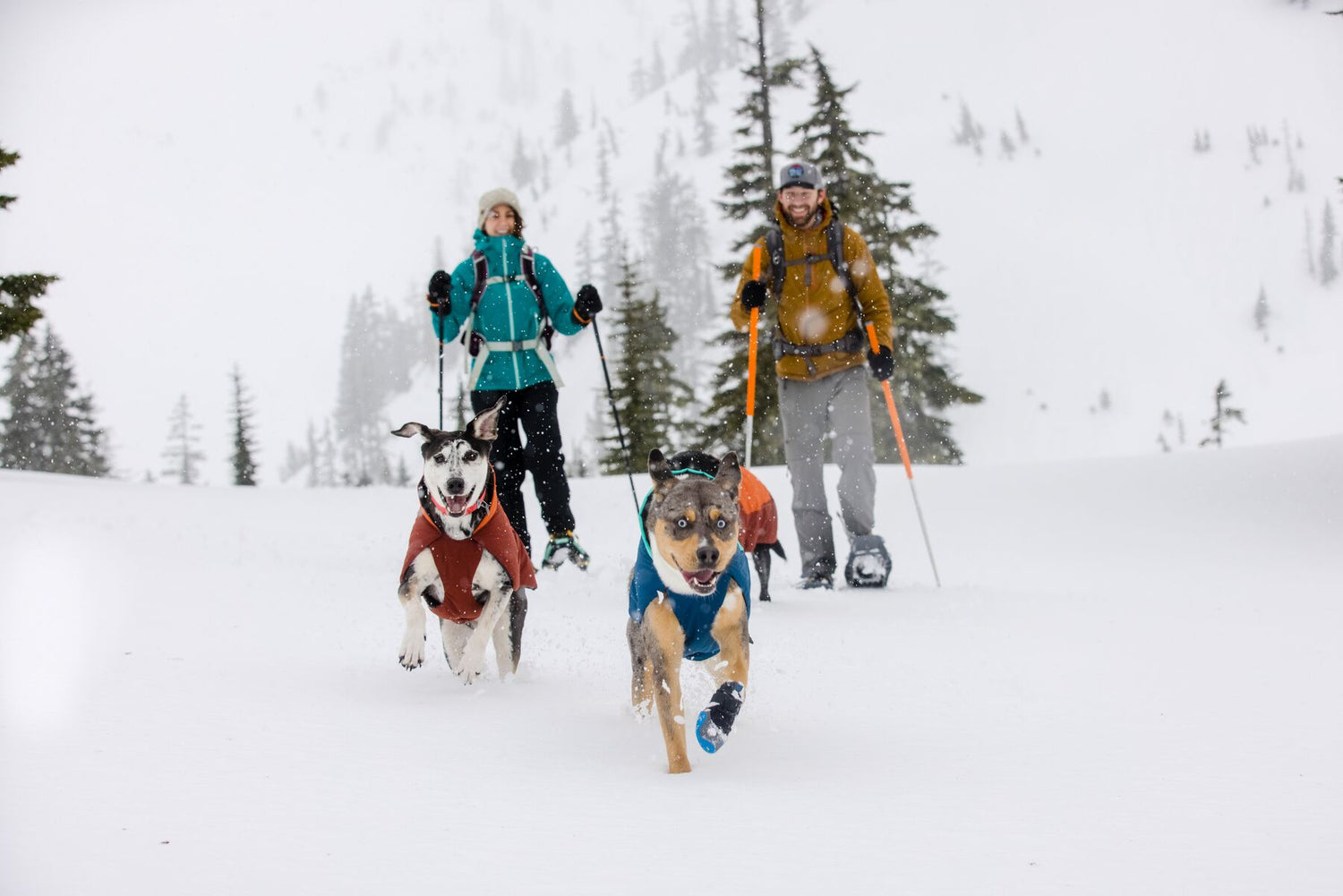 Ruffwear Confluence™ Waterproof Dog Collar