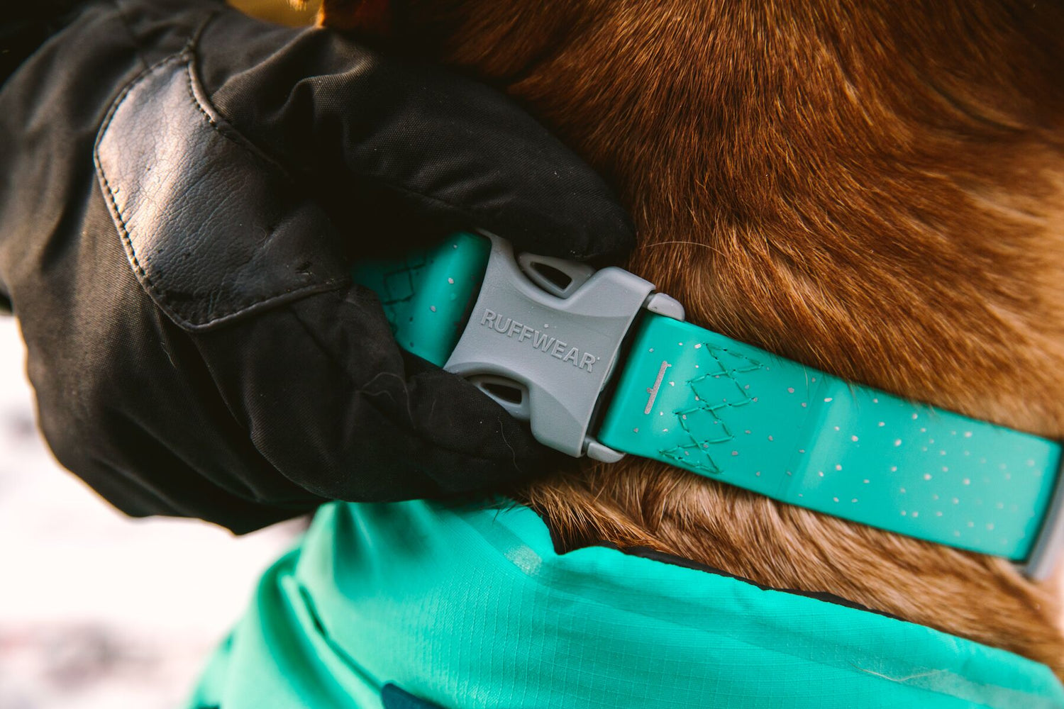 Ruffwear Confluence™ Waterproof Dog Collar